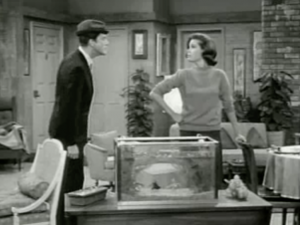 Rob (Dick Van Dyke) wears a rumpled hat as he and Laura (Mary Tyler Moore) frown at each other with a fish tank in front of them.